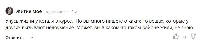 Комментарий, породивший эту статью