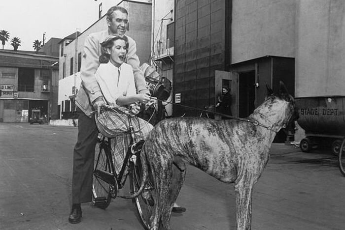 Джеймс Стюарт и Грейс Келли развлекаются в перерыве межбу съемками