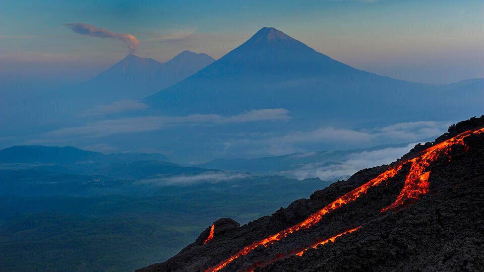 Фото: © Global Look Press/Martin Engelmann/imageBROKER.com