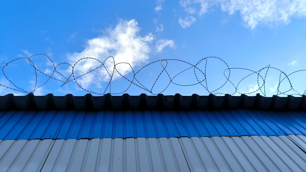    Фото: Maksim Konstantinov/Globallookpress