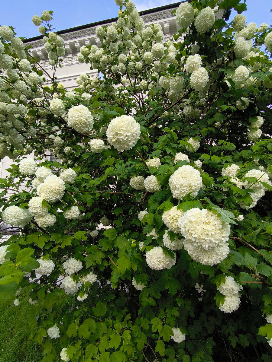 Еще фото поближе ->