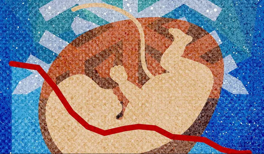 Иллюстрация, которая стала символом демографической зимы, от The Washington Times