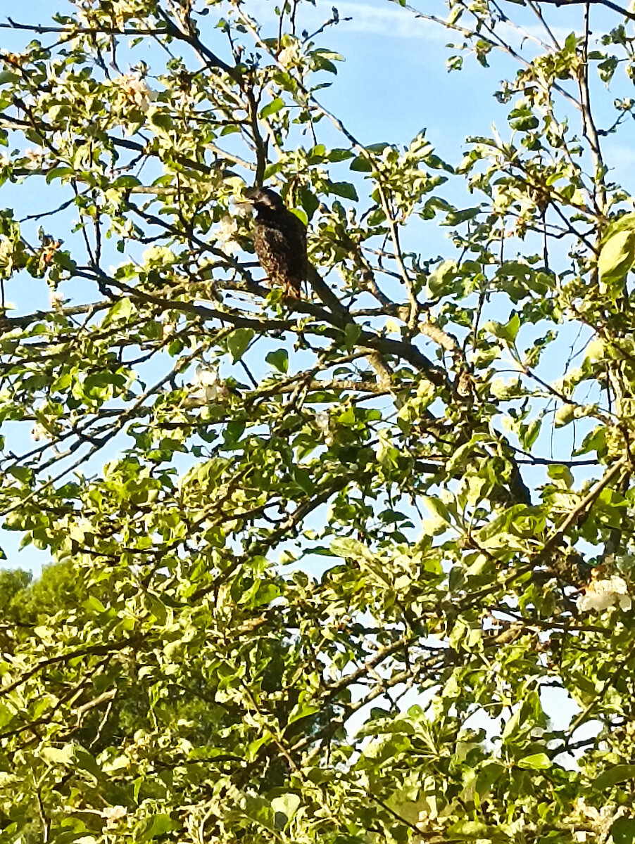 Выспался уже