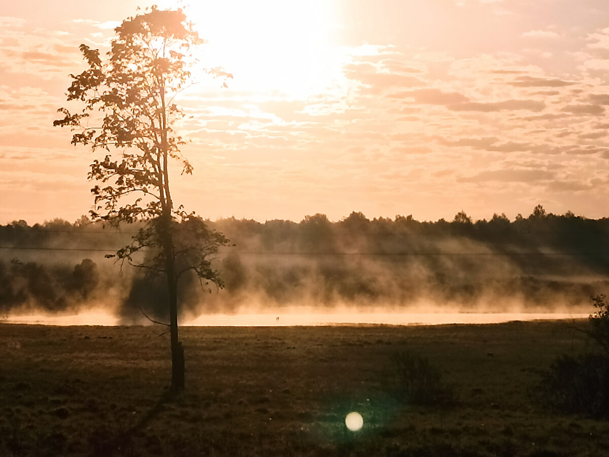Так встречает нас солнце в 5 утра, выезжаем на рынок, ну как не сфотографировать