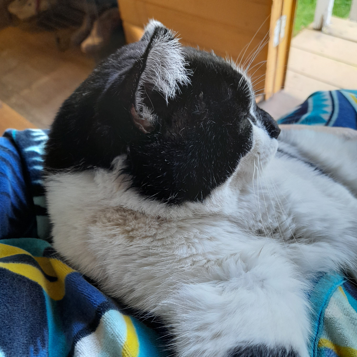 Фото автора.  Забежал к своим ненадолго