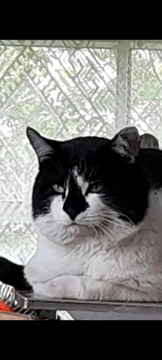 Фото автора. Вот такой я был злой и не хотел в город