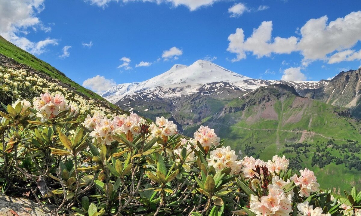 фото из интернет-источника