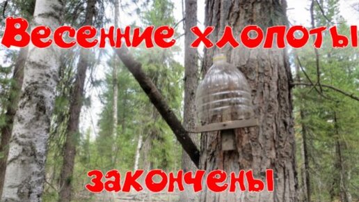 Закончил работы на путике прошёл до самых дальних капканов Арса водоплавающая попал под снег град