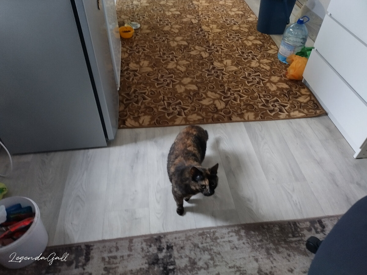Это максимум, который она себе позволила, потом молнией вылетела наружу ))
