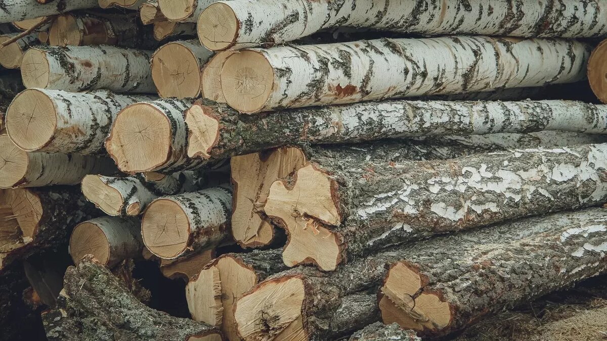     Источник: 1MI