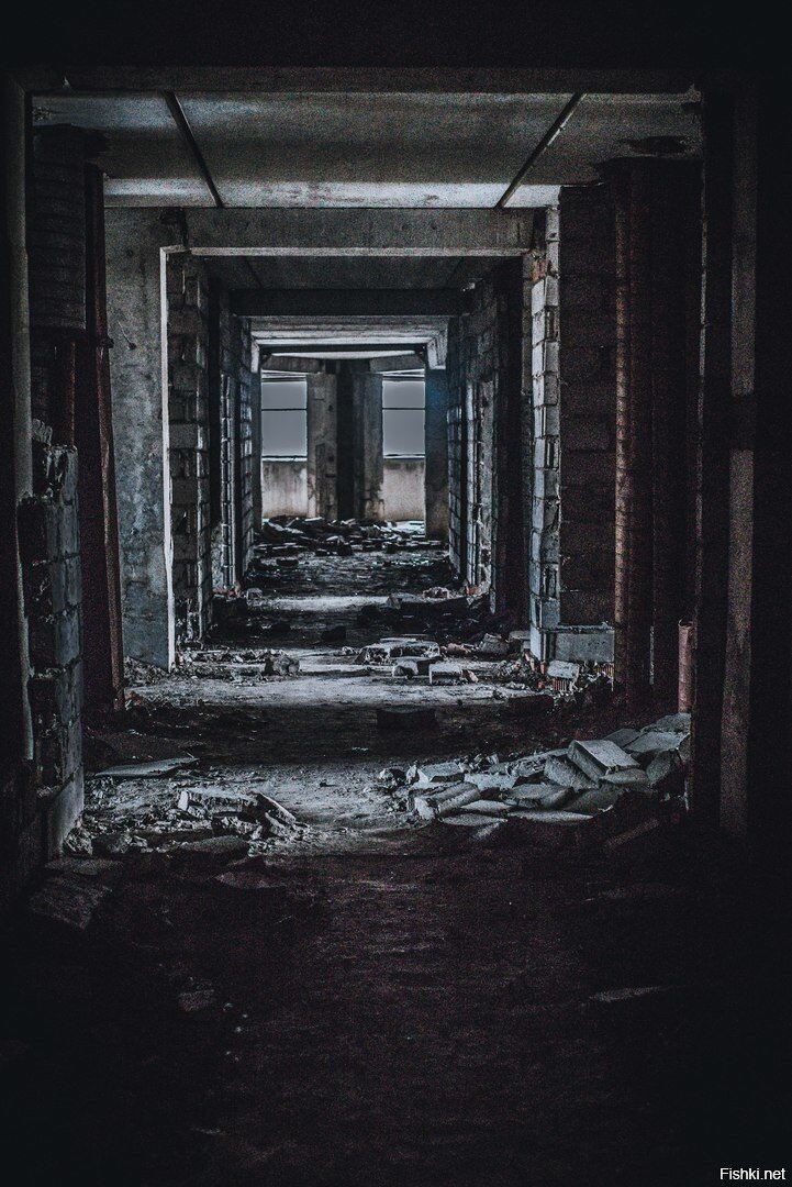 яндекс картинки