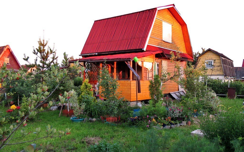 фото из открытых источников