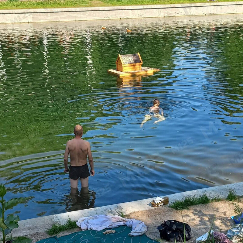 Листайте вправо, чтобы увидеть больше изображений