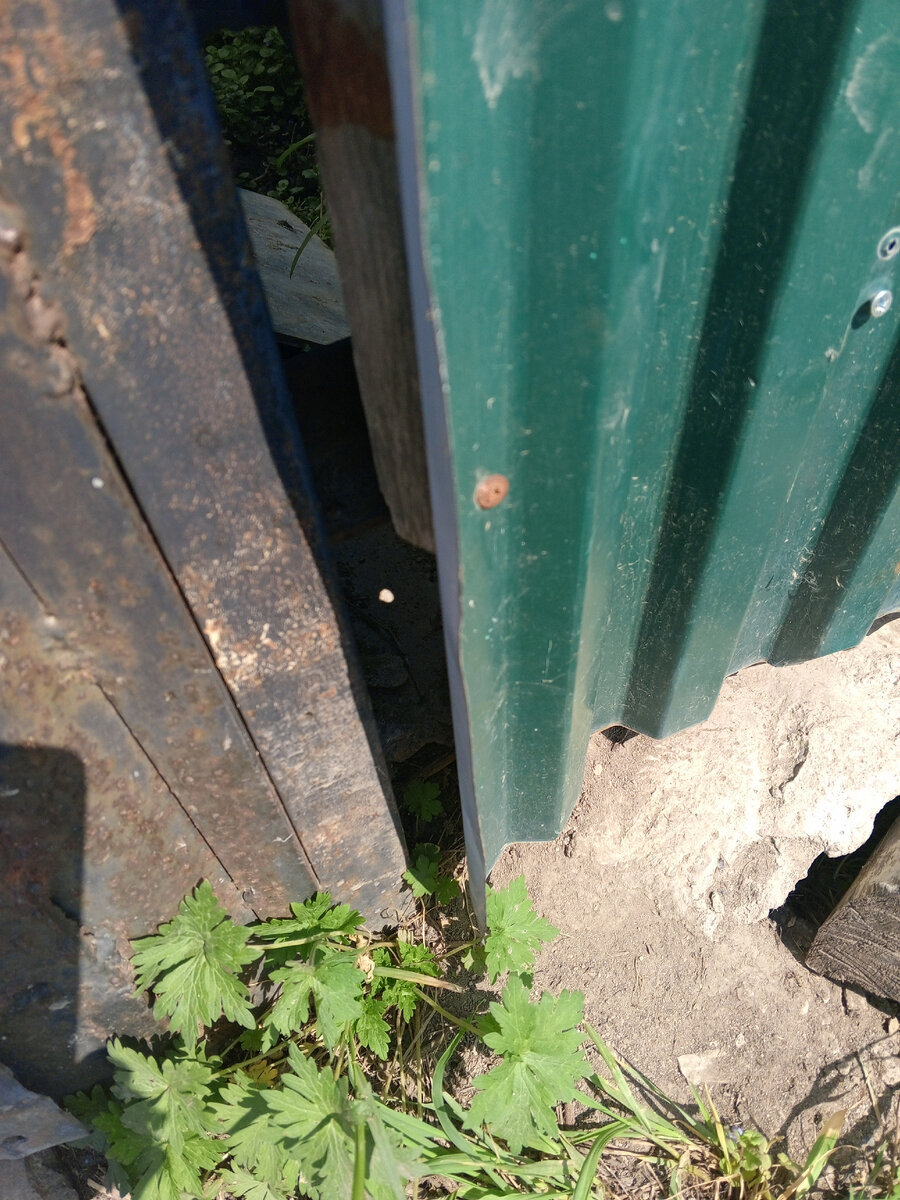 Заткнула, чем было. Надо искать кого- нибудь, чтобы сделали, муж,- в командировке