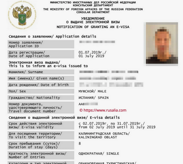 Пример электронной визы