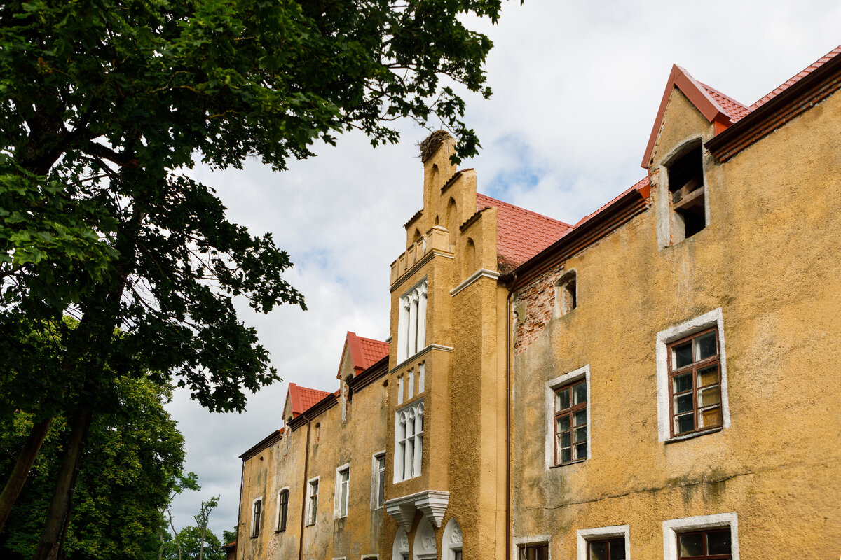 © Konstantin Tronin/ Shutterstock