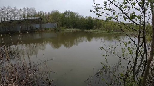 Ловля прудового монстра в отвес.