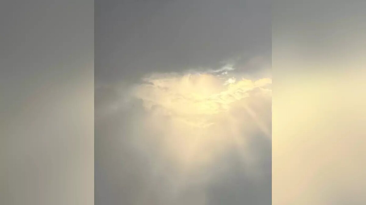     Источник: соцсети