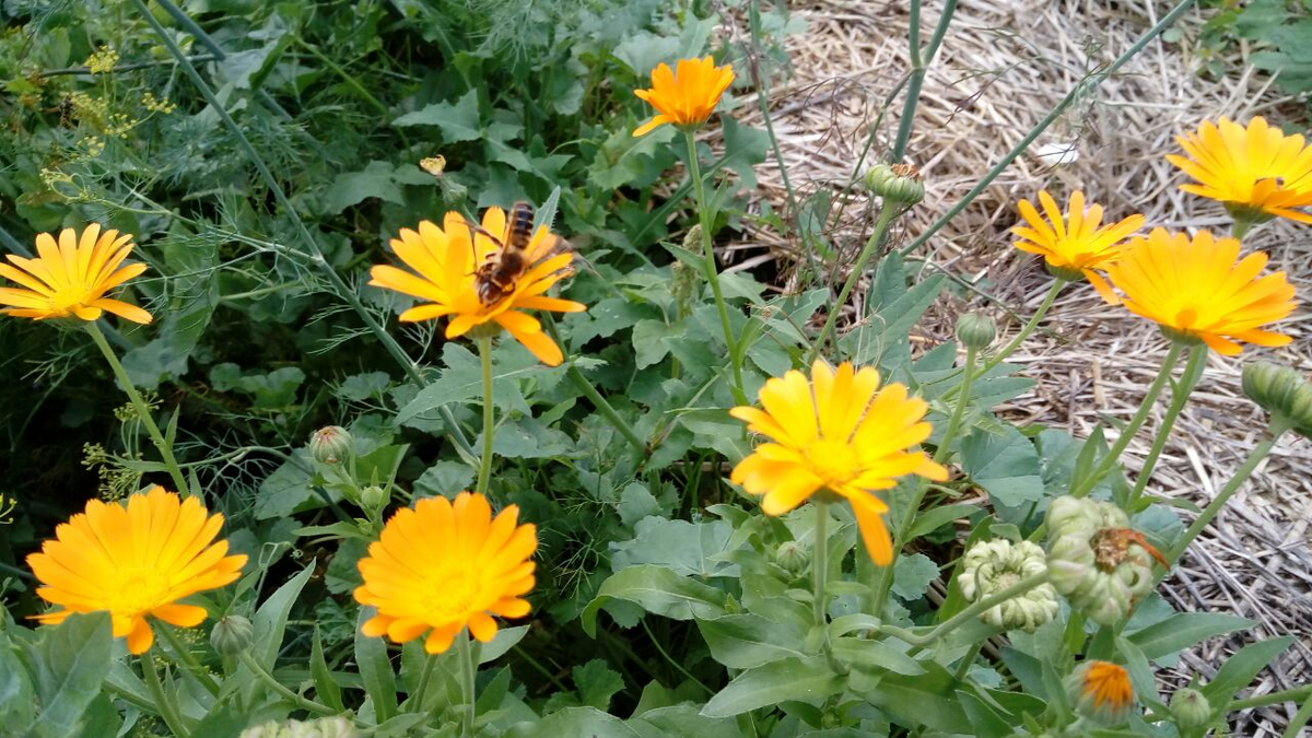 Фото автора.