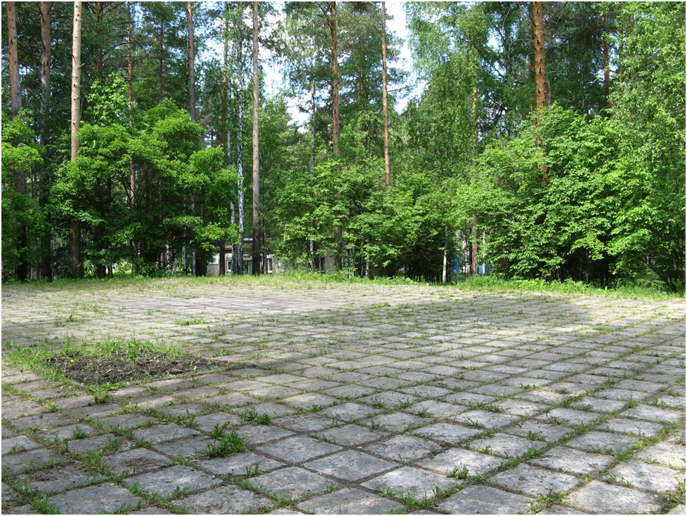 Пионерская линейка - место торжественной встречи чехов. Фото автора.