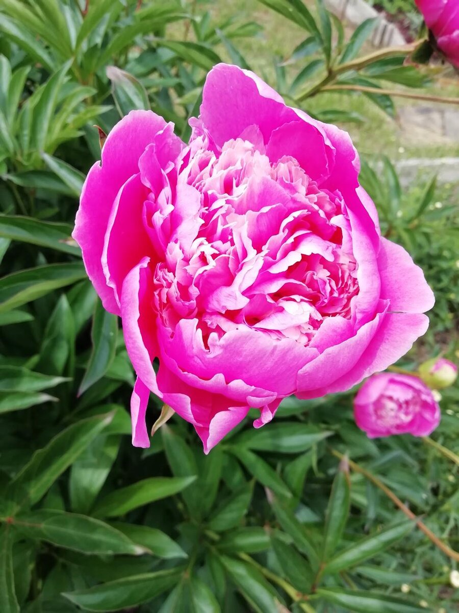 Фотография автора.