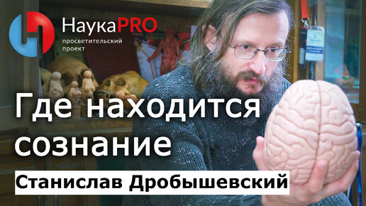 Где находится сознание? – Станислав Дробышевский | Лекции по антропологии | Научпоп