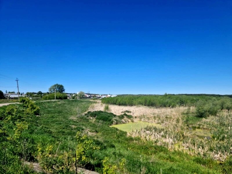    Фото: Министерство природных ресурсов и экологии Ульяновской области