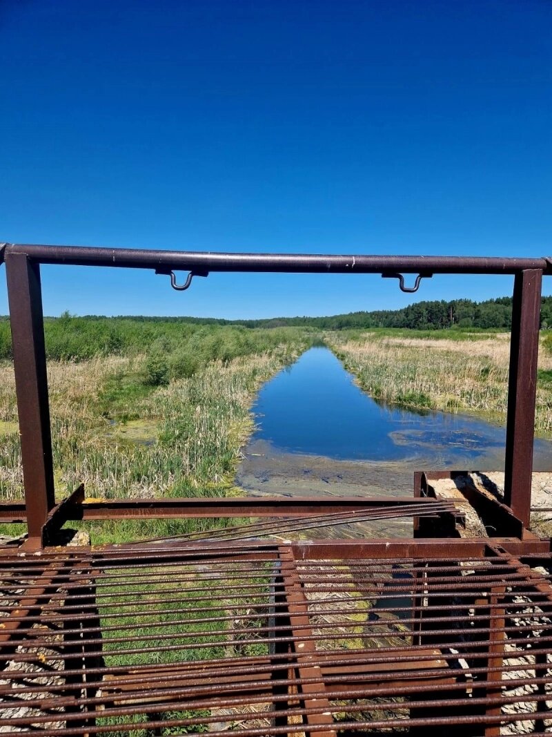    Фото: Министерство природных ресурсов и экологии Ульяновской области