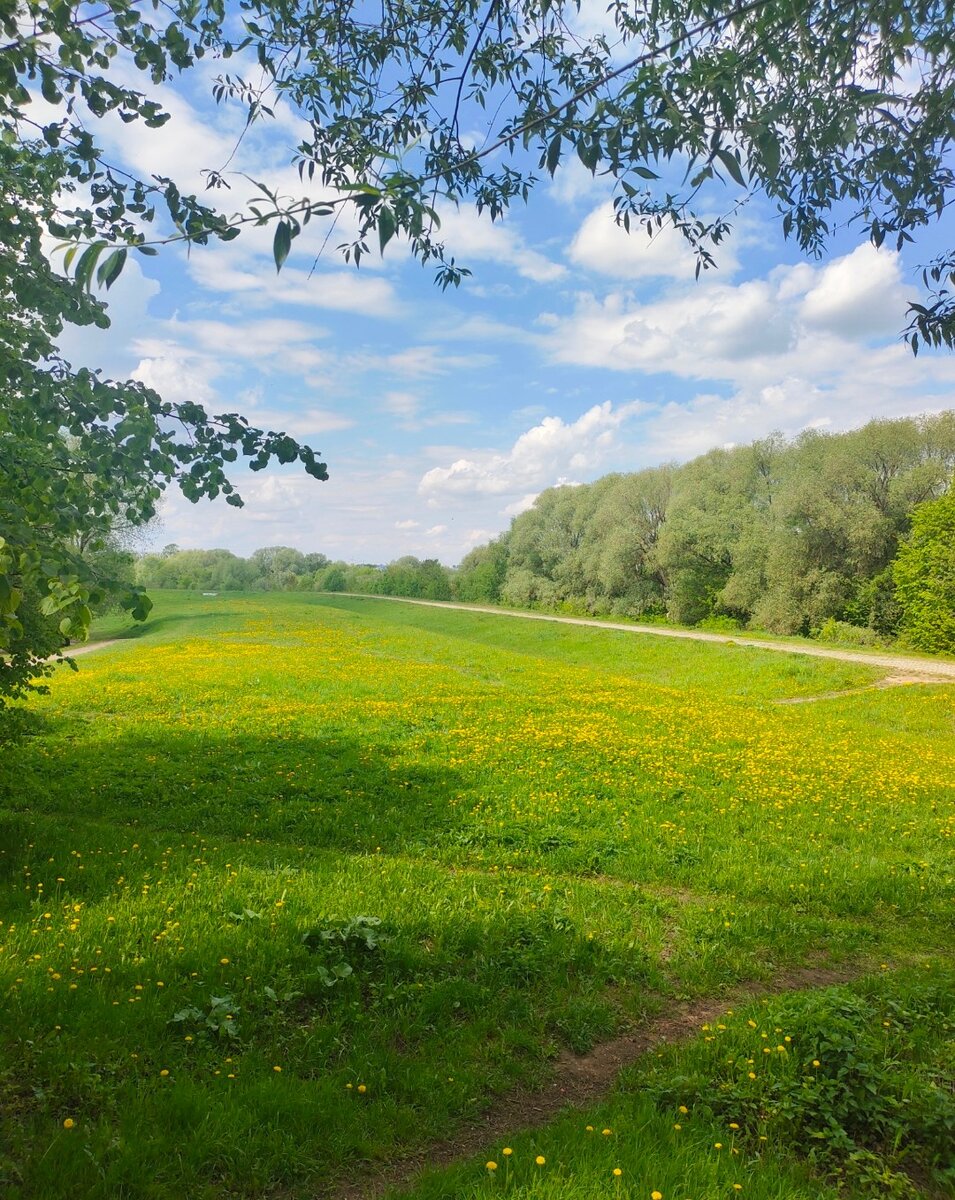 В этом месте силы можно наблюдать людей, подолгу сидящих на лавочках у храма или просто на лужайках и созерцающих эти невероятные цветущие просторы