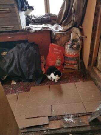В таких условиях жил Скиф