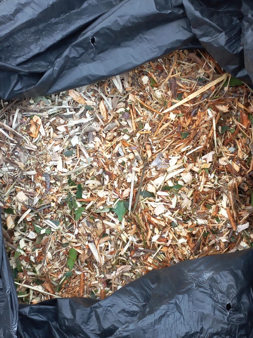 Фото из личного архива