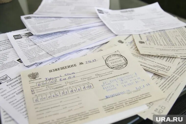 Налоговая амнистия станет временным решением в борьбе с дроблением бизнеса, считает Майя Шевцова Фото: Александр Мамаев © URA.RU