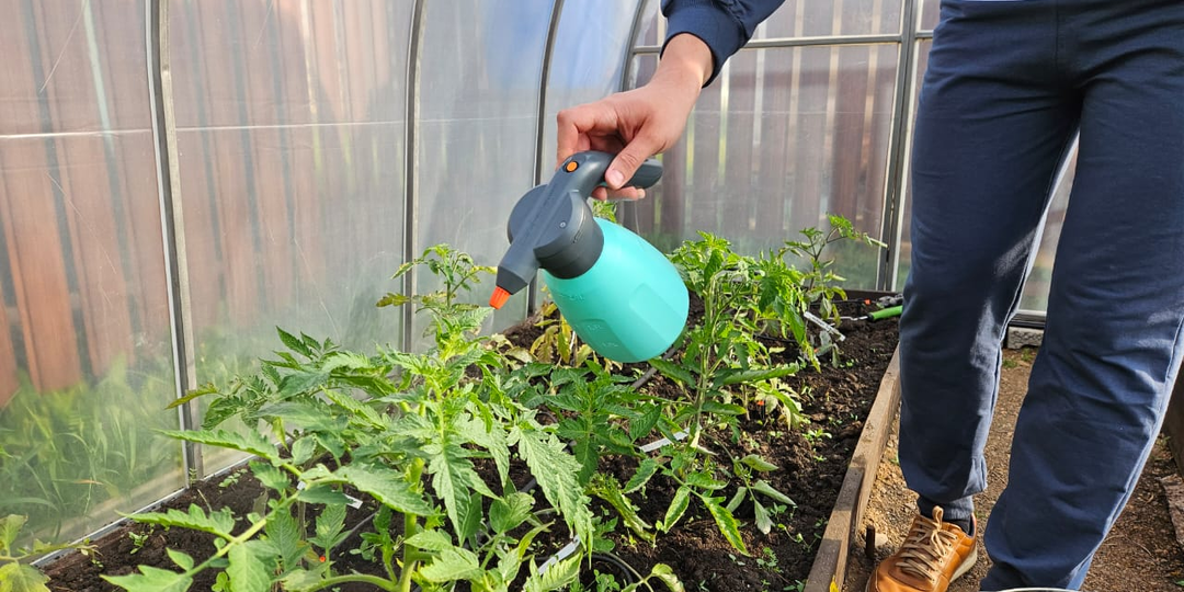 Даже самая дохлая рассада оживёт, если смешать эти 3 дешёвых компонента и правильно обработать