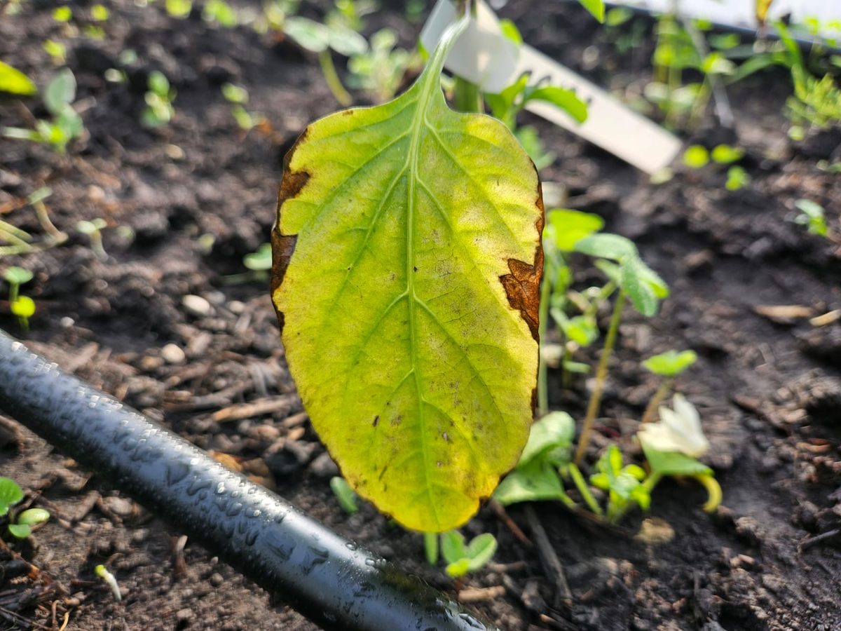 Знакомо такое?