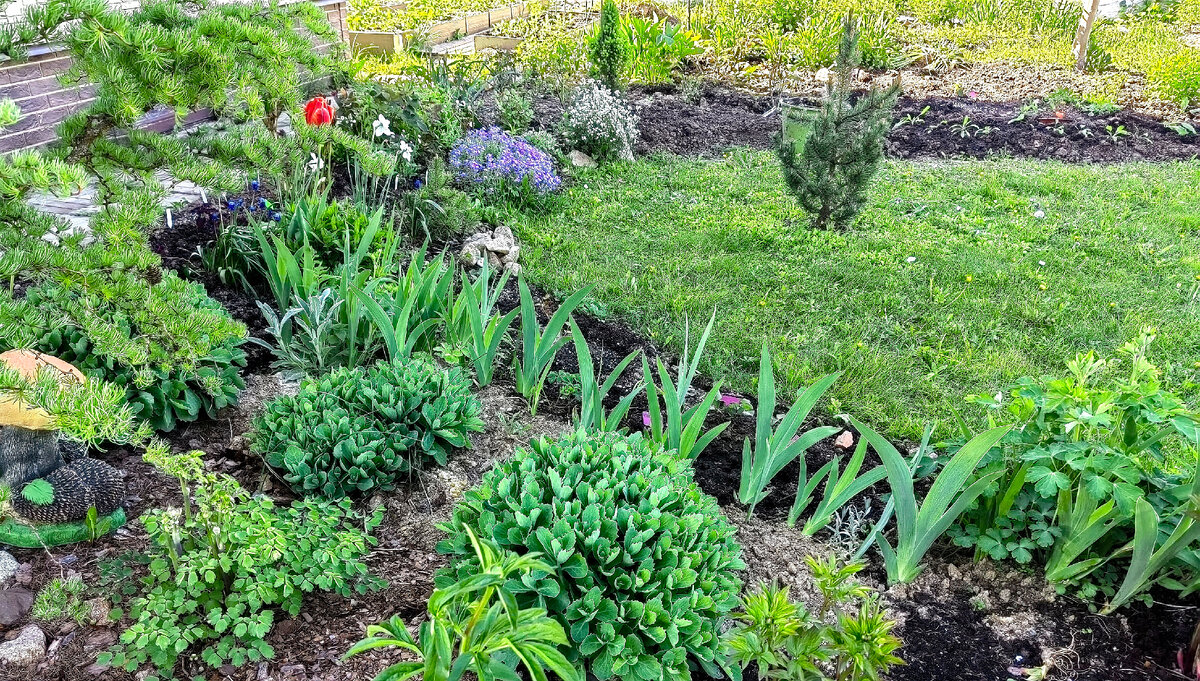 Фото автора