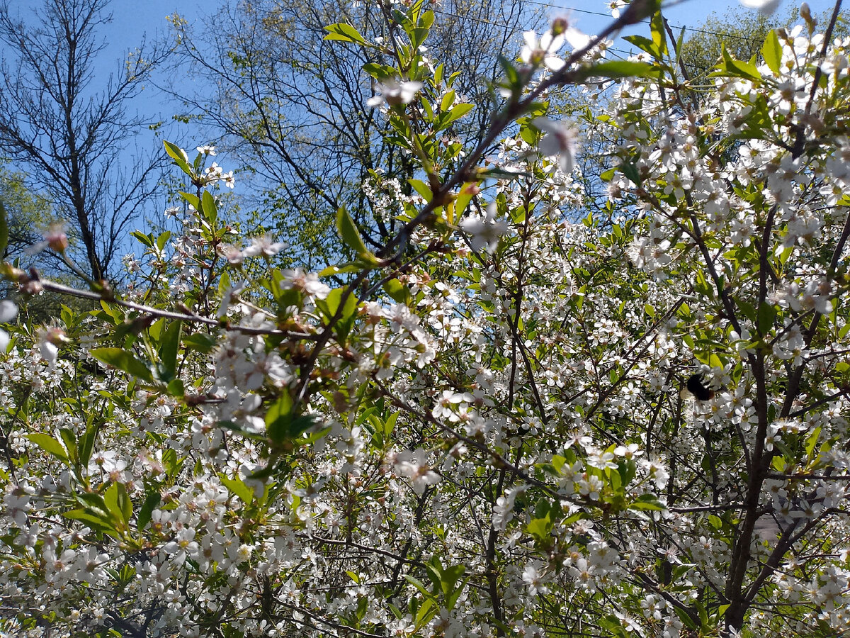 Позитивчика в ленту.