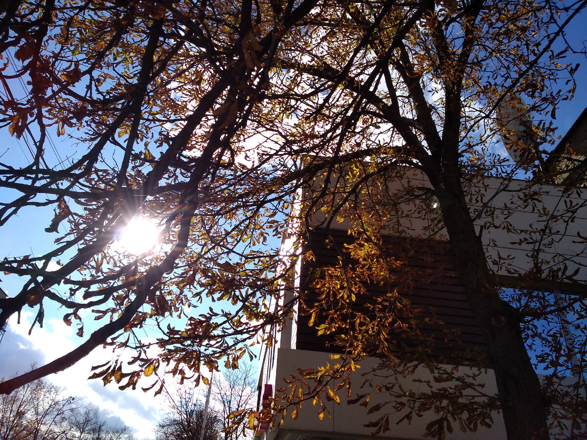 Вот так вспыхнет иногда в памяти 