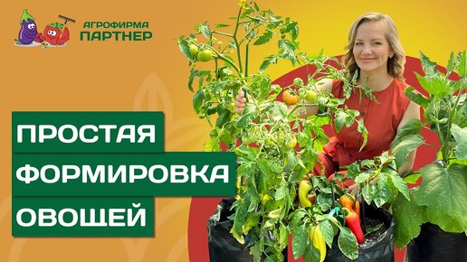 ОСОБЕННОСТИ ФОРМИРОВАНИЯ ОВОЩЕЙ ДЛЯ ВСЕХ ВИДОВ ГРУНТА