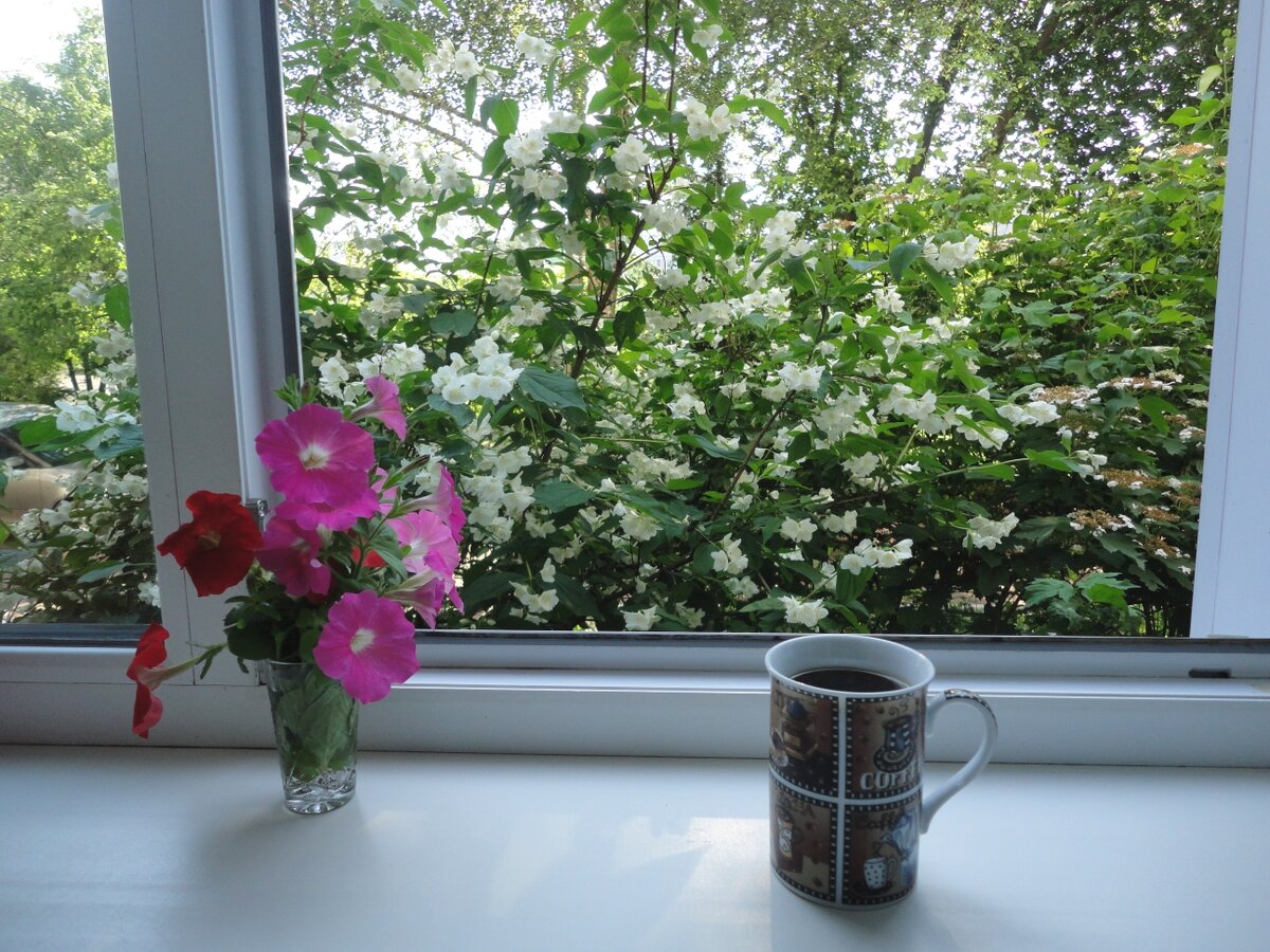 Доброе утро, Жасмин!