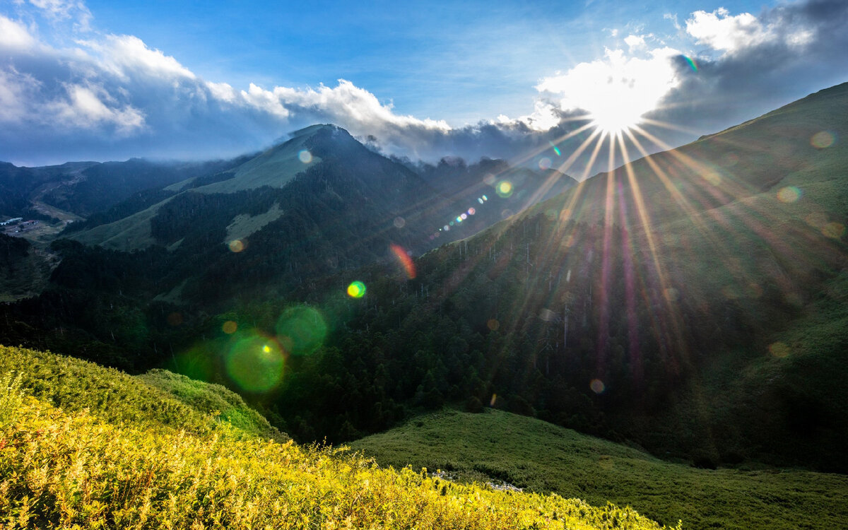 Изображение из открытых источников