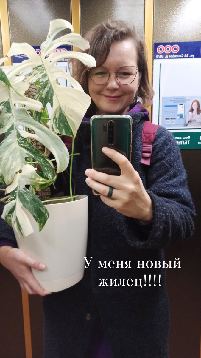 Первая Альба