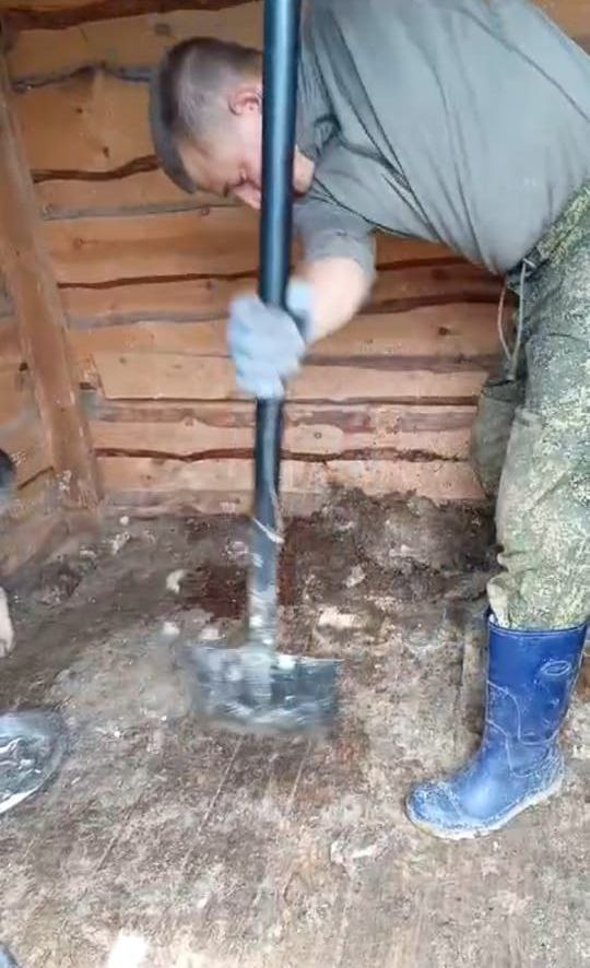 Чистим вольеры. Но рук не хватает на все работы