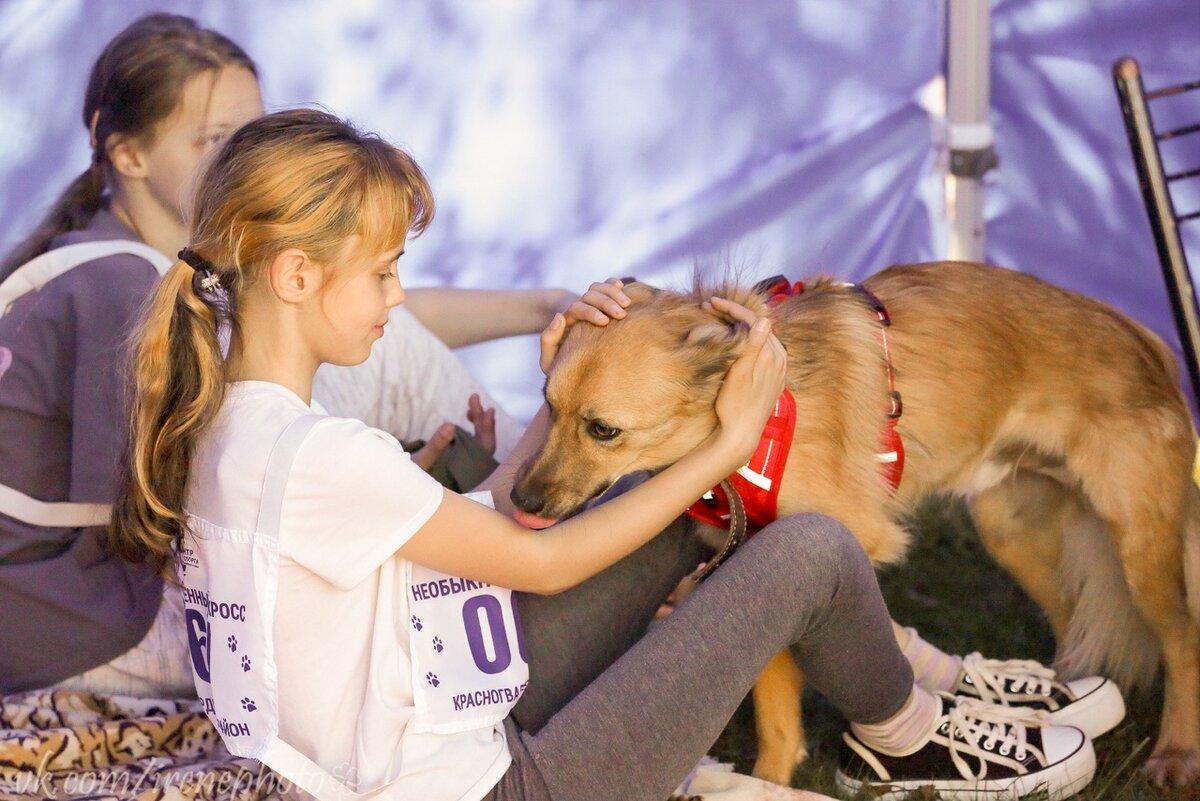 18 мая 2024. Дети-волонтеры с подопечным Амуром на Необыкновенном кроссе