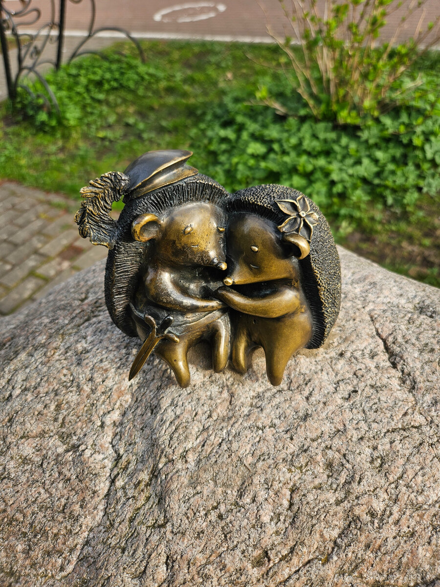 Светлогорские ежи