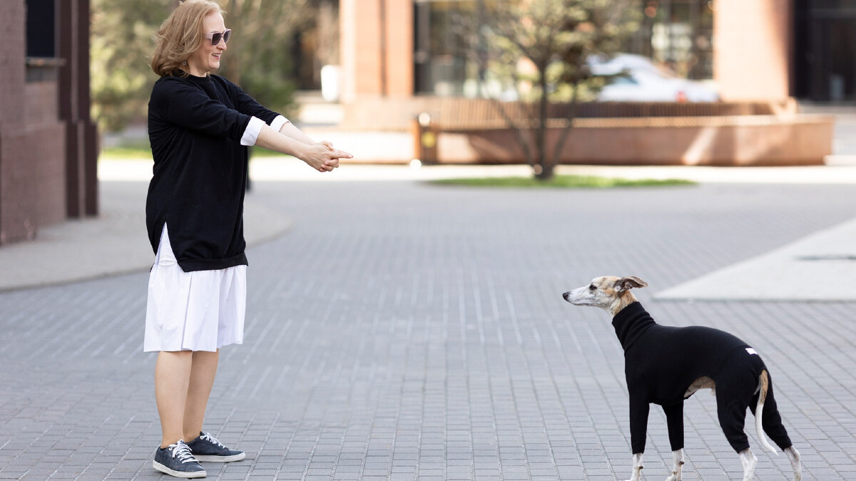 Никакого принуждения - только лаской и терпением