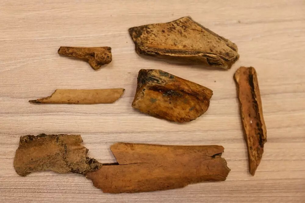     Автор: Дарья Кривицкая Источник: cultura24.ru