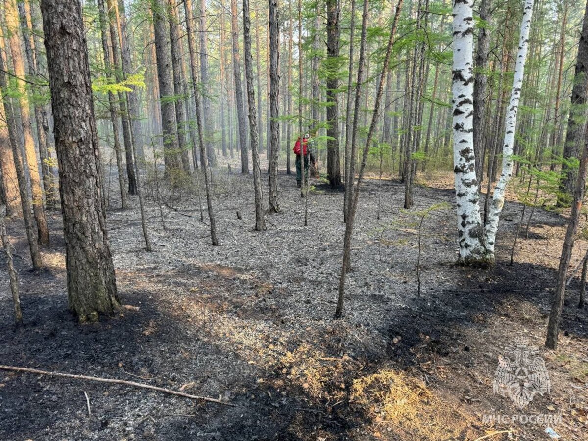    Фото: Пресс-служба ГУ МЧС России по Забайкальскому краю   📷   Фото: Пресс-служба ГУ МЧС России по Забайкальскому краю