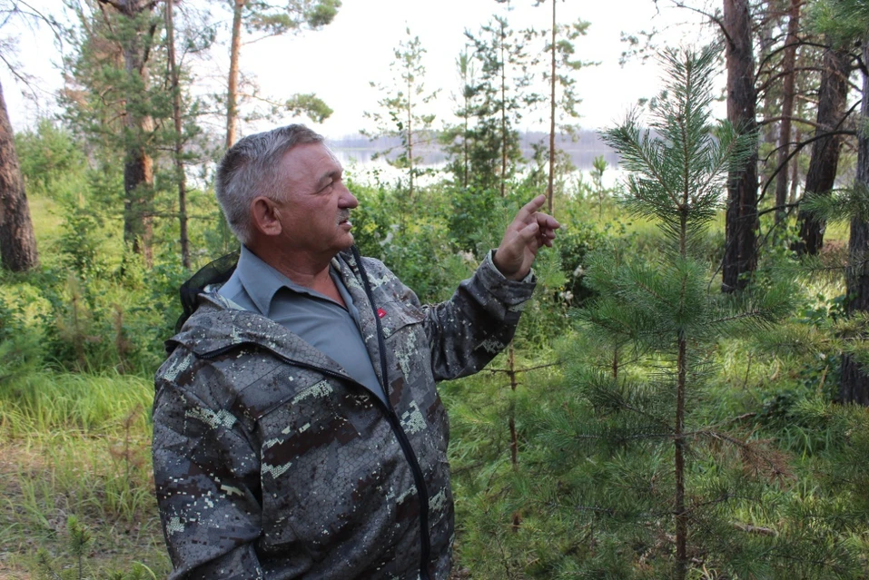 Юрий Владимирович Гилев 