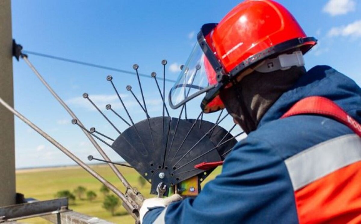 Особое внимание уделяется территориям, где обитают исчезающие и редкие виды.  Фото: Фото предоставлено компанией «Россети Сибирь»