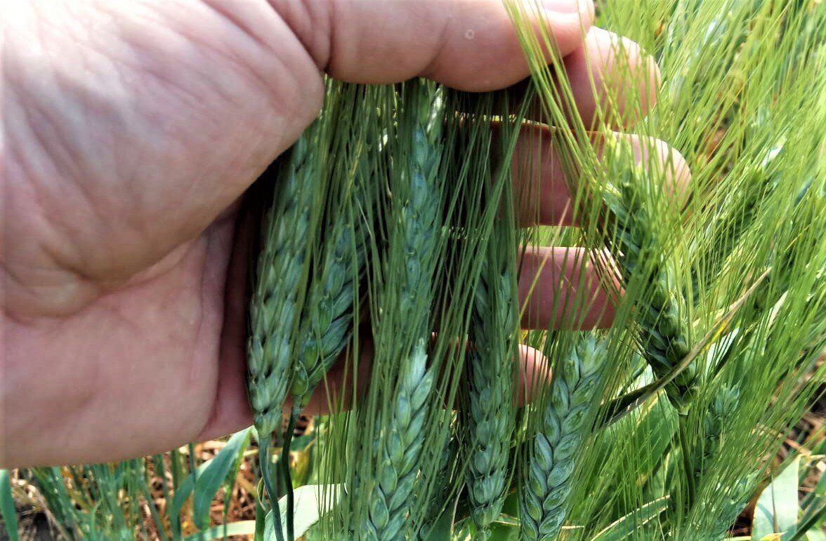 Фото Евгения Карабанова